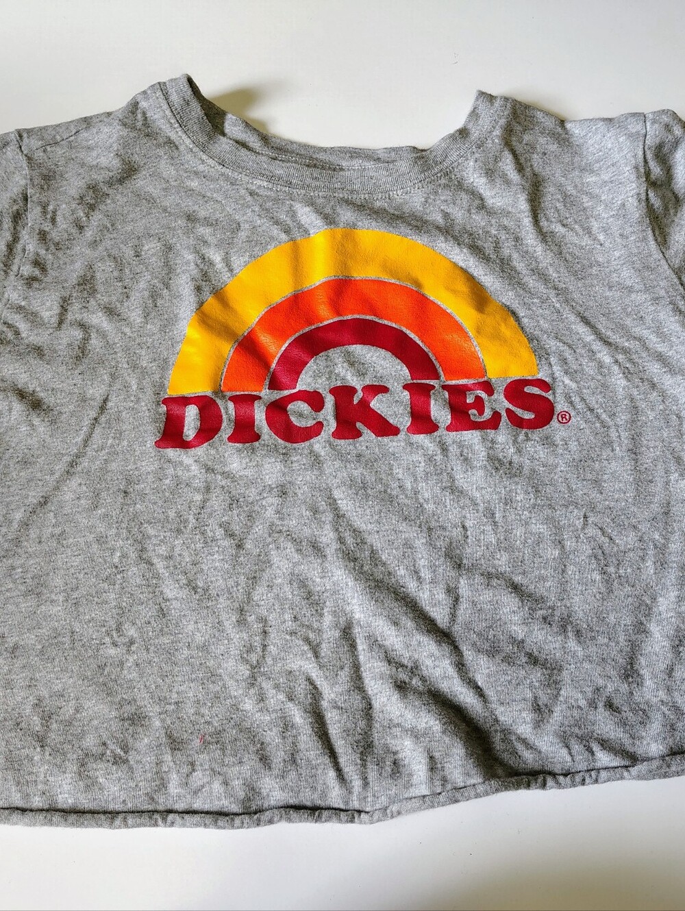 Dickie's Crop Top